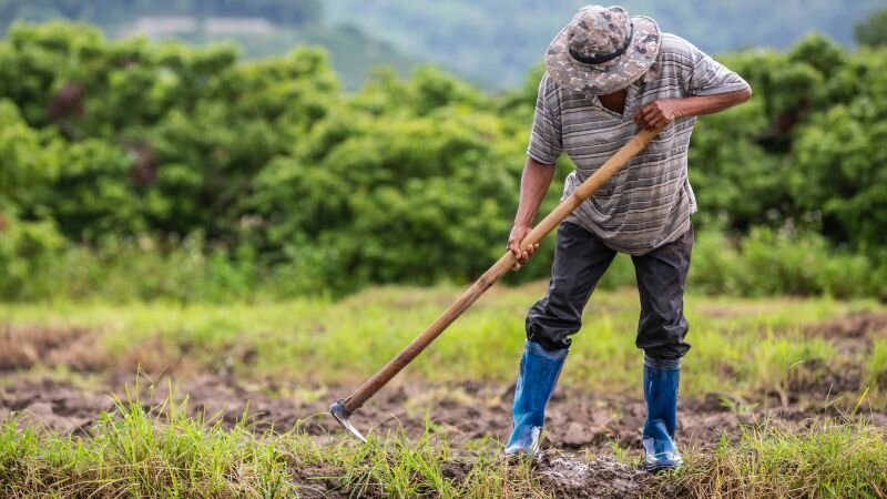 Aprobado en último debate al Campesinado como sujeto político de derechos