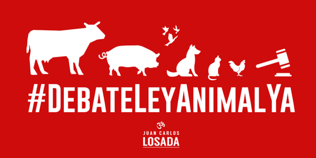Este martes se debate proyecto de Ley de protección animal