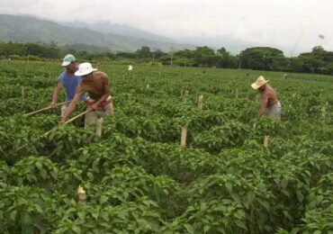 Zidres pretendería extranjerizar y entregar tierras a empresarios
