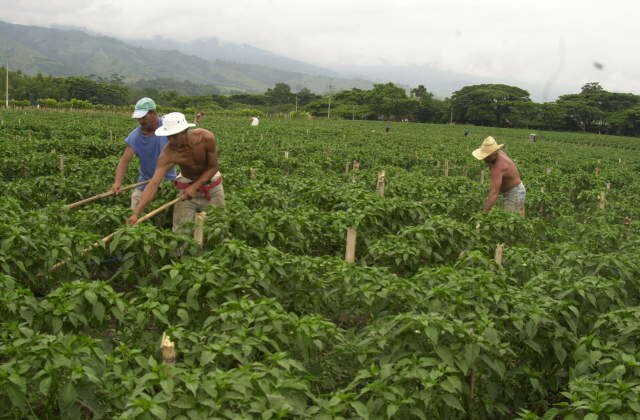 Zidres pretendería extranjerizar y entregar tierras a empresarios