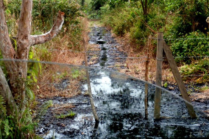 Comunidad indígena en Putumayo dijo NO a actividad petrolera de Amerisur