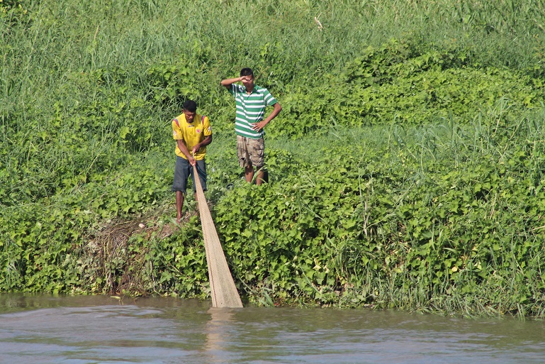 Se están acabando los peces en el río Magdalena