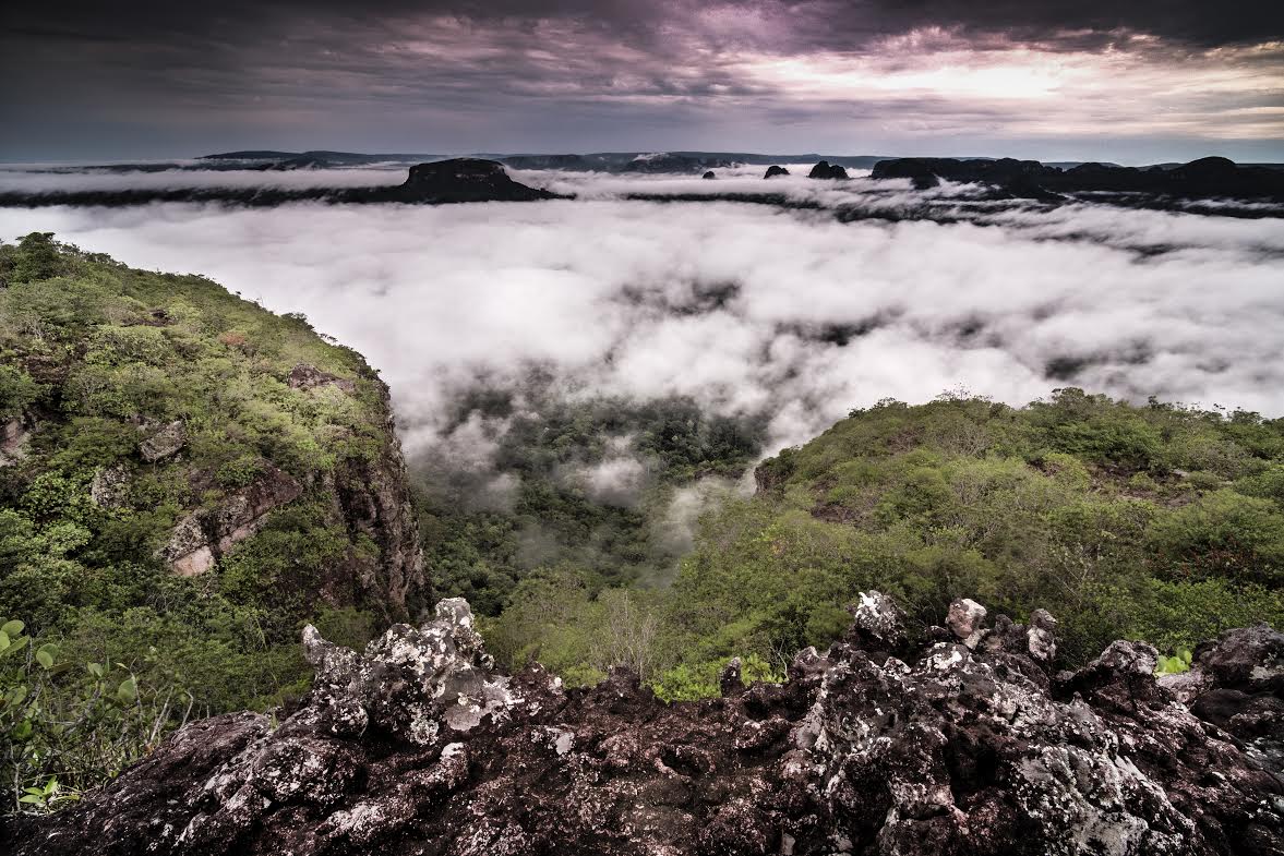 Parque natural Sierra de Chiribiquete. Foto: Colombia Magia Salvaje.