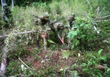 Erradicación forzada en Cauca deja varias afectaciones a población civil