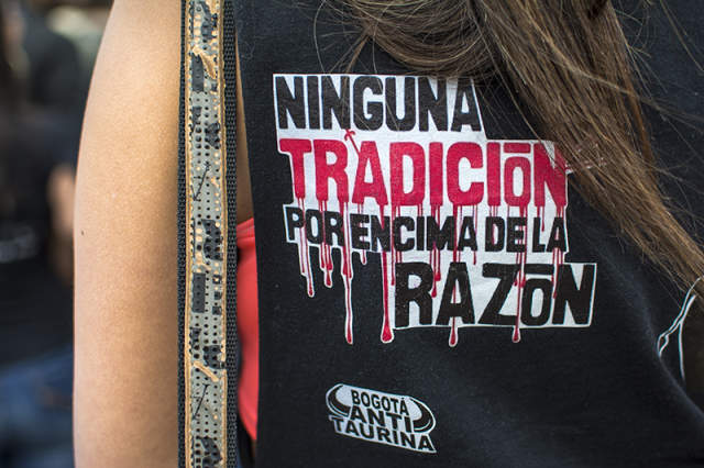 Por primera vez la protección animal hace parte del Plan Nacional de Desarrollo
