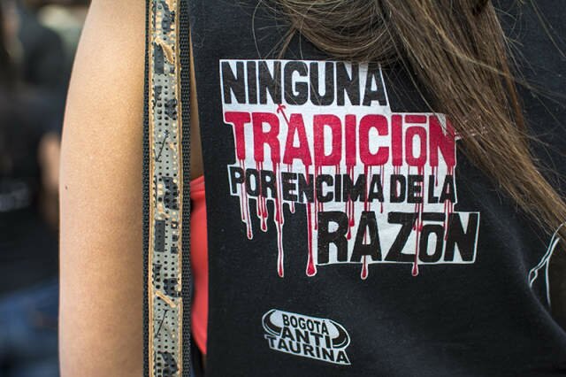 Por primera vez la protección animal hace parte del Plan Nacional de Desarrollo