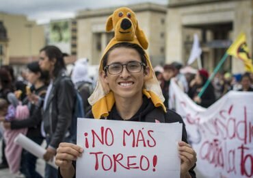 Que la Corte, corte la tortura en Colombia: Animalistas