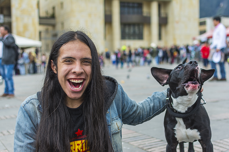 A un paso de la penalización del maltrato animal