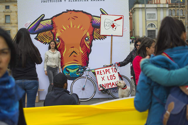 Animalistas seguirán movilizándose para exigir no más olé