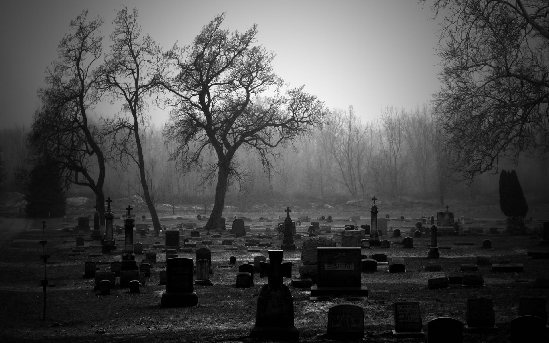 Cinco maestros imprescindibles del "Terror" literario
