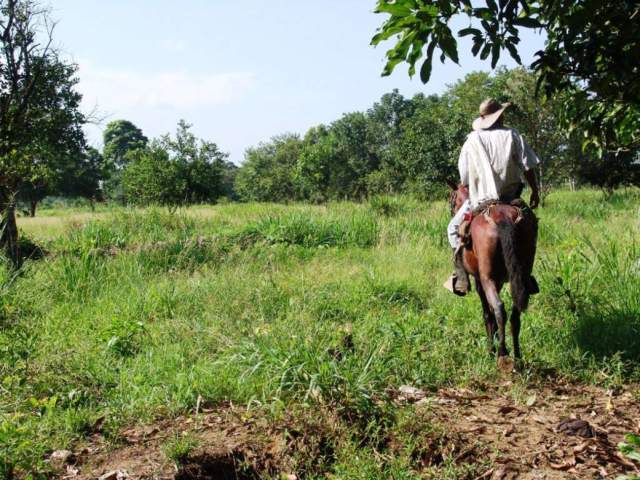 Hay 177 amenazas contra líderes reclamantes de tierras en Colombia