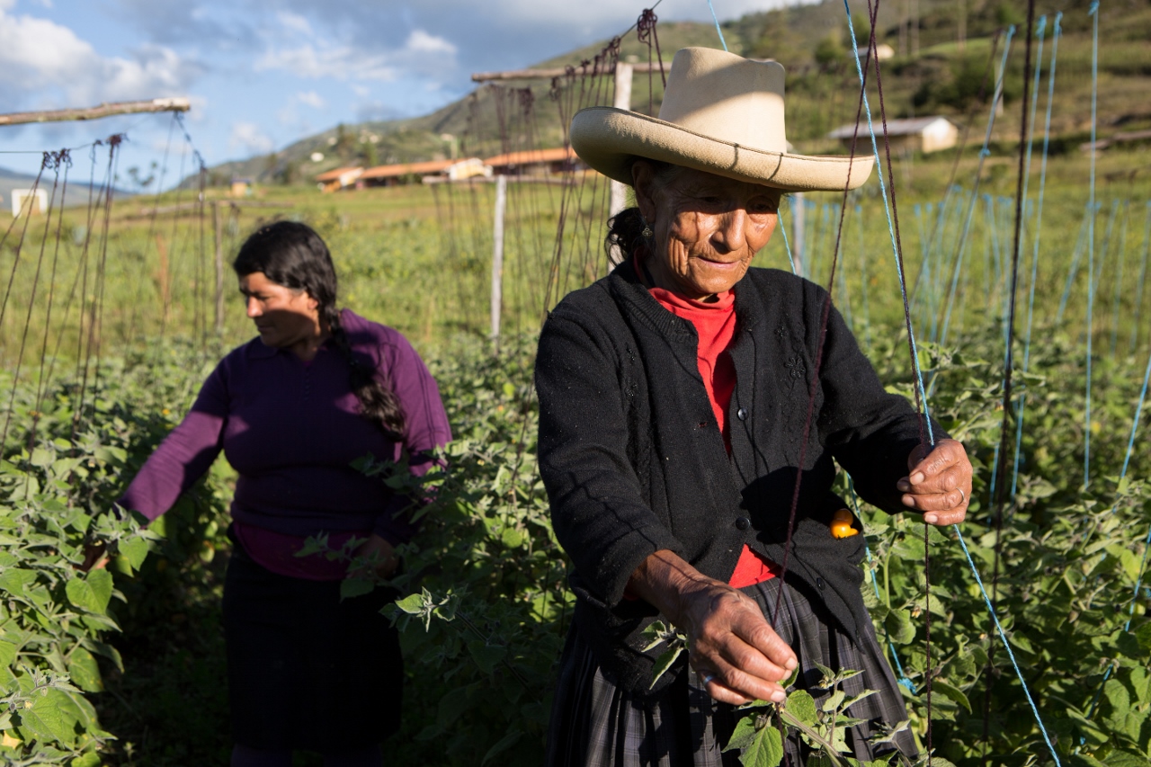 Solo el 24% de las mujeres rurales pueden tomar decisiones sobre sus tierras
