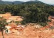 Deforestación sigue acabando con la Amazonia colombiana