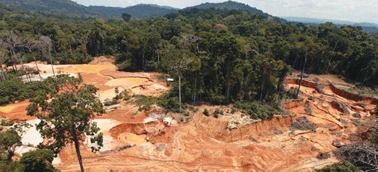 Deforestación siguen aumentando en la Amazonía colombiana