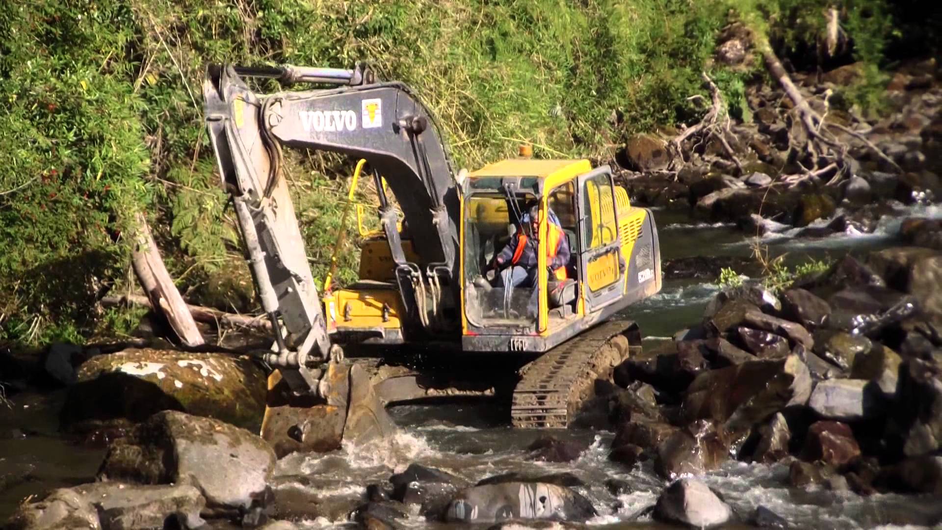 Más del 50 % del Cauca en amenaza por intereses mineros