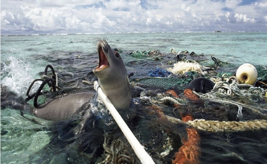 En 35 años habrá más plástico que peces en el océano