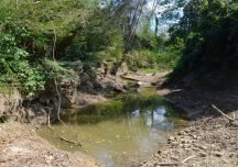 Carbones del Cerrejón incumple sentencia que protege a comunidades y al Arroyo Bruno