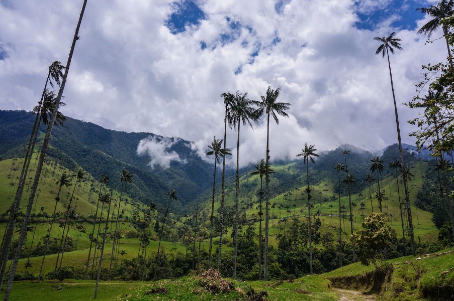 Concejo municipal de Salento, Quindío aprueba consulta popular