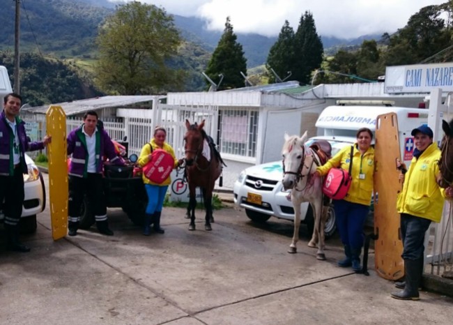 Caballos usados como ambulancias: vuelve la tracción animal a Bogotá