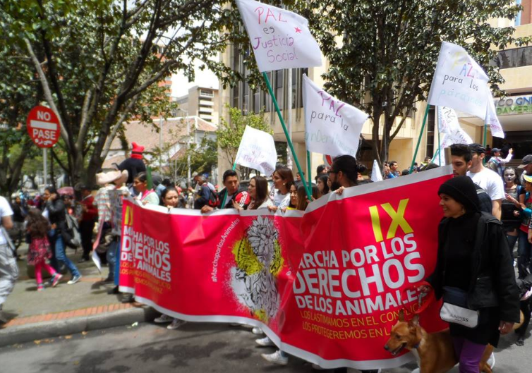 Así está Colombia en materia de protección animal
