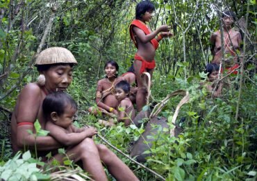 Ante el Tribunal ético serán presentados casos de mujeres panamazónicas y andinas