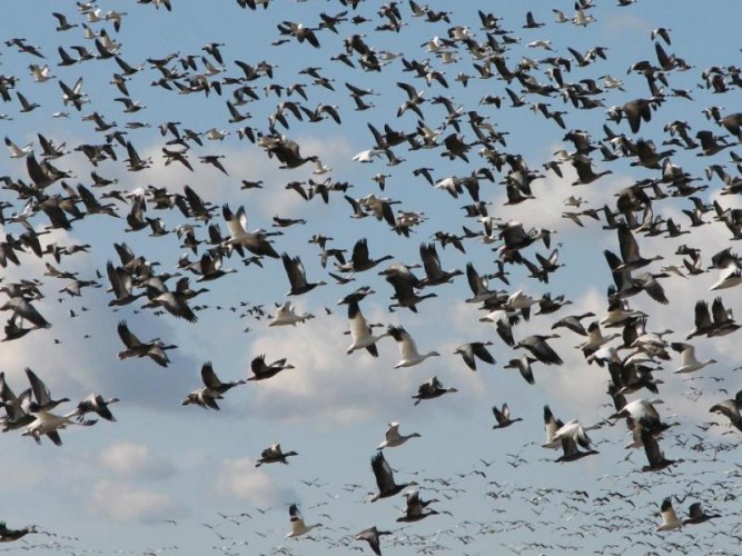 Cambio climático afecta el 80% de las funciones de la tierra