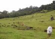 Informe «Tierra y despojo en los Llanos» será entregado a la Comisión de la Verdad