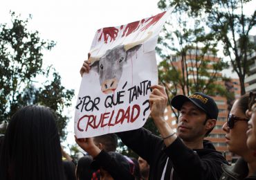Bogotá parecía en estado de sitio contra los animalistas: Plataforma ALTO