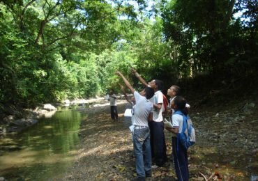 Educación ambiental: el reto de Colombia para 2017
