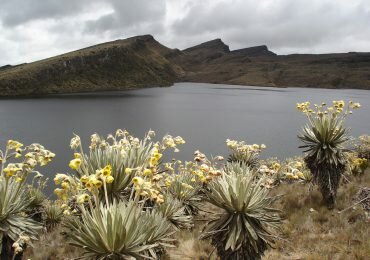 Avanza la Consulta Popular en Cabrera Cundinamarca