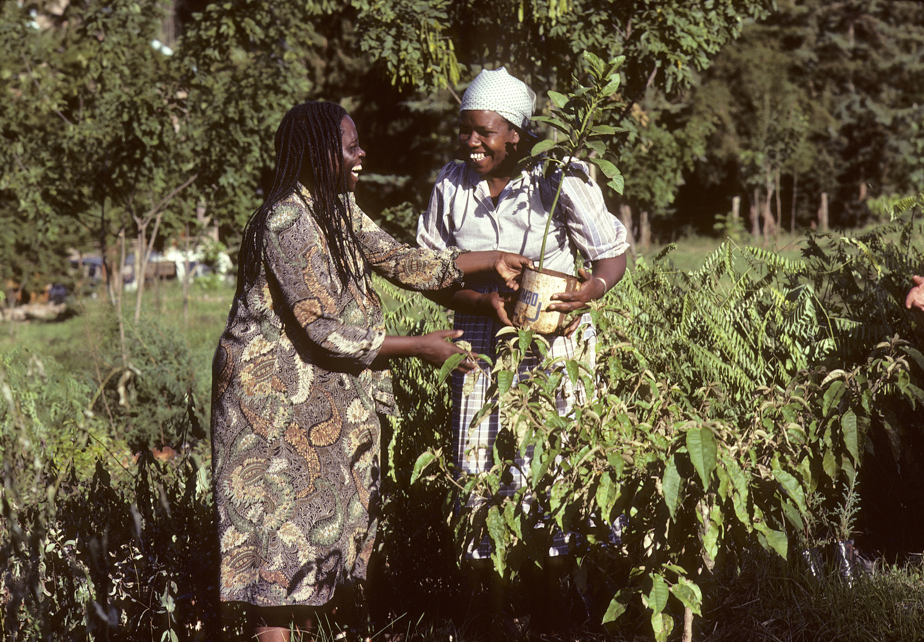 Las Mujeres tejen paz desde los territorios