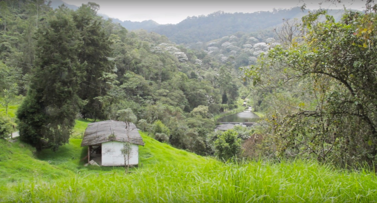 Constructoras ponen en riesgo la "Reserva Forestal Río Blanco"