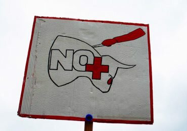 ¿Fallará la Corte Constitucional en favor de las corridas de toros?