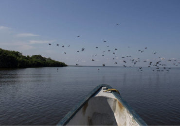 Convención Ramsar confirma crisis ecológica de la Ciénaga Grande Santa Marta