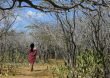 Empresas de Irlanda, Reino Unido, Suiza y Australia serían responsables de violar de DDHH en la Guajira