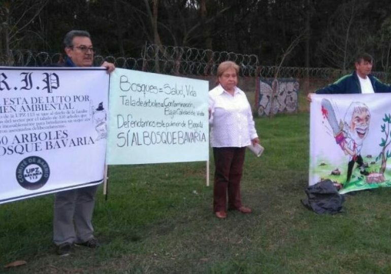 Nadie responde por los árboles 25 mil árboles que quiere talar Bavaria en Bogotá