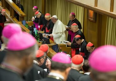 Miembros de la iglesia católica plantean la posibilidad de un Sínodo de la Amazonía