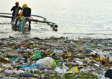 "La humanidad ha hecho del océano un basurero": WWF