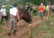 Más de 10 mil ex integrantes de las FARC han tenido que salir de los ETCR