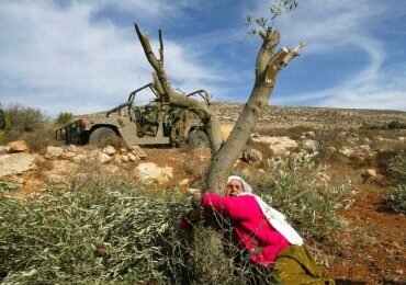 La tierra, el cuerpo y las mujeres palestinas