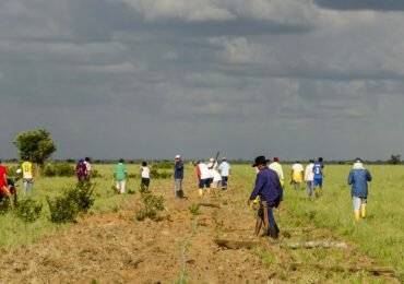 Gobierno incumple fallo de la Corte que devuelve tierras a comunidades de El Porvenir