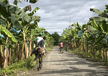 Asesinan líder de restitución de tierras en Curvaradó