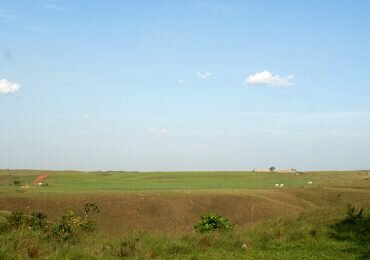 Nueva Reforma Rural profundiza acumulación de baldíos