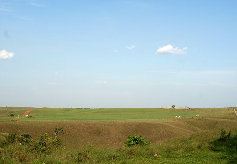 Nueva Reforma Rural profundiza acumulación de baldíos