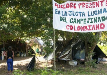 Los 3 retos que enfrentan las zonas de reserva campesina