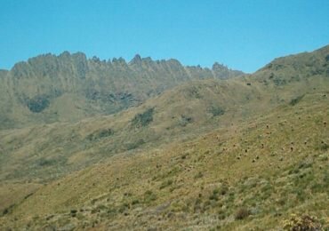 Amenazan habitantes de Rioblanco, Tolima por exigir protección del Páramo del Meridiano