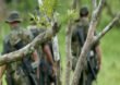 En Segovia, Antioquia, ocurre la masacre número 44 en 2021