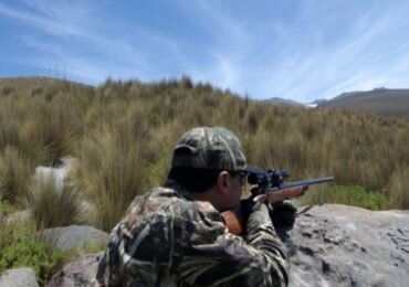 Piden que Corte Constitucional frene legalización de caza deportiva en Colombia