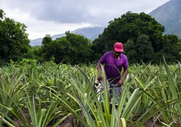 Este proyecto de ley busca hacer trizas la Reforma Agraria