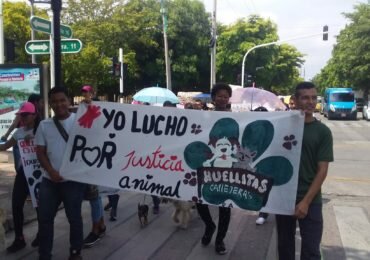Nariño se une a los departamentos que promueven la protección animal